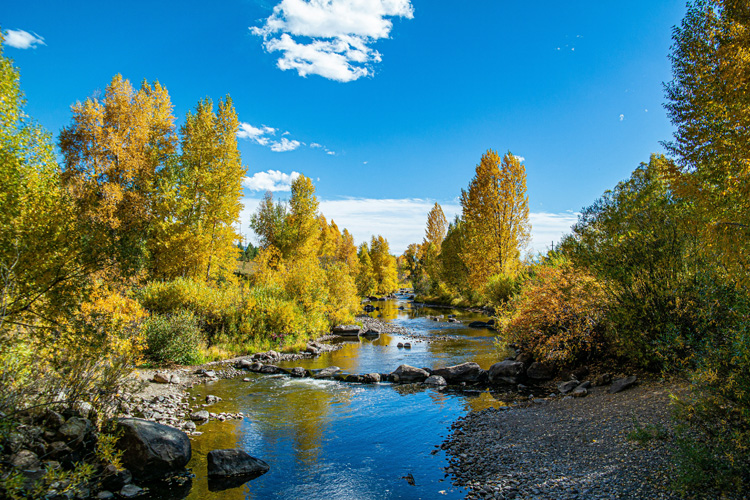 Holiday snap of a river and clear blue skies, with forest and trees on the bank. The clear blue sky is reflecting in the river water. A perfect holiday destination.
