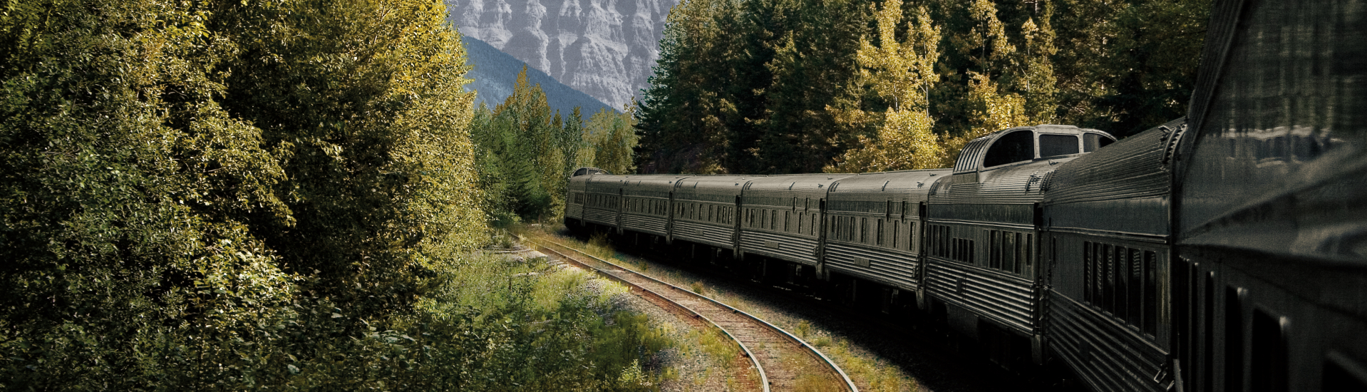 American Worldwide Travel