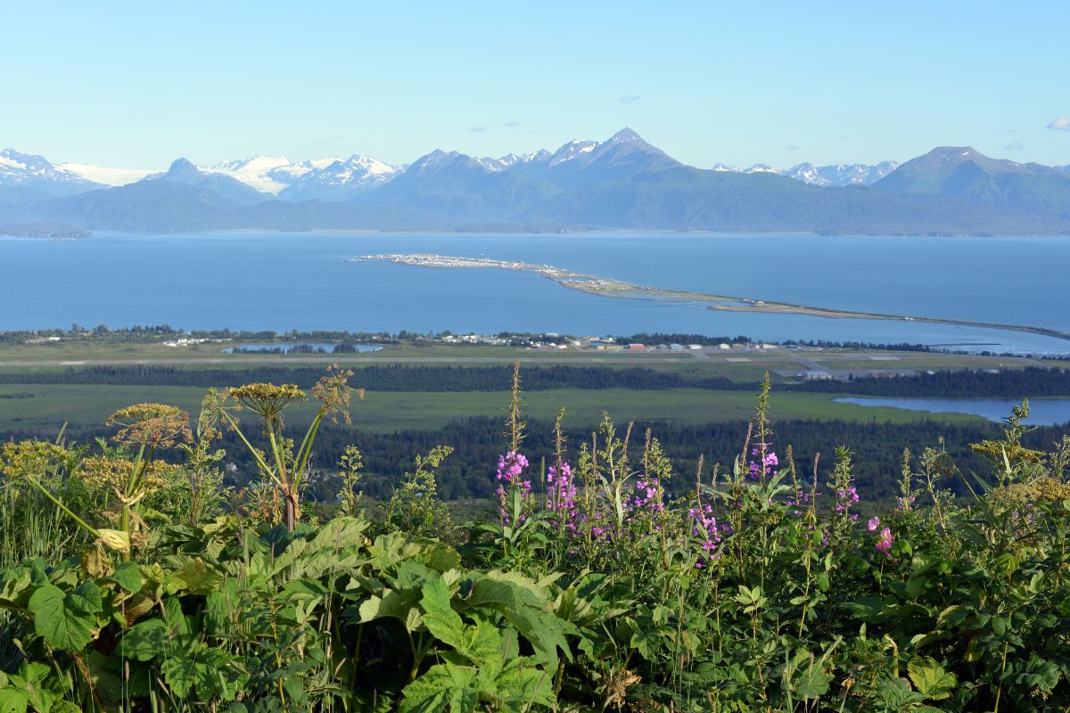 A view of Kachemak Bay, near Homer, Alaska