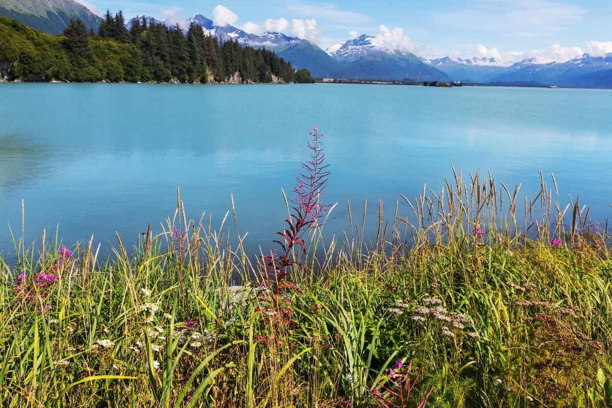 Prince William Sound, Valdez, Alaska