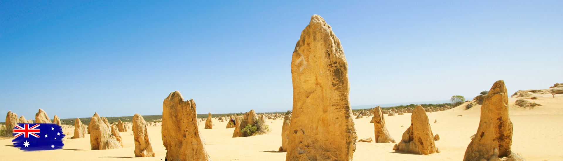 American Worldwide Travel