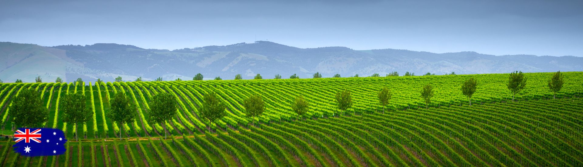 American Worldwide Travel