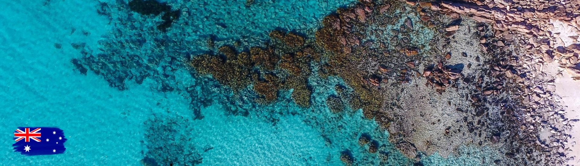 American Worldwide Travel