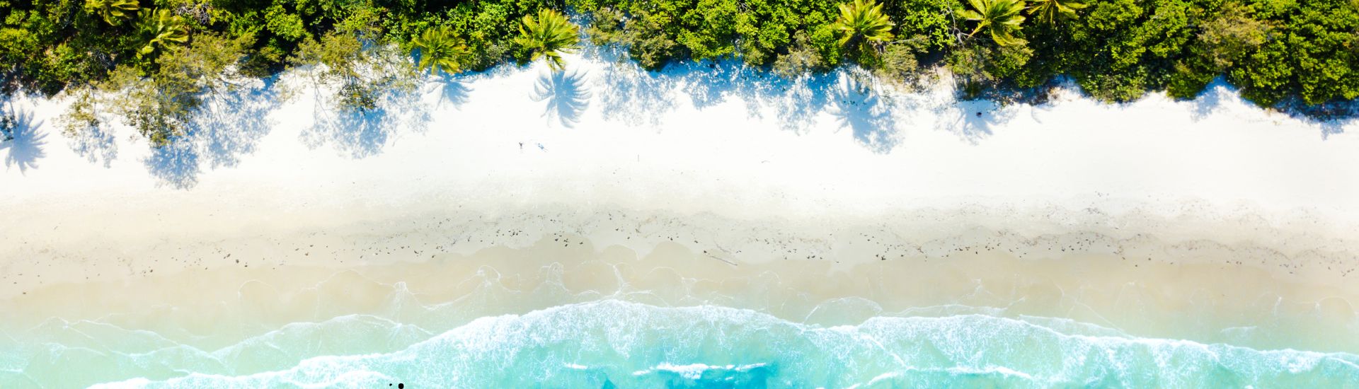 American Worldwide Travel